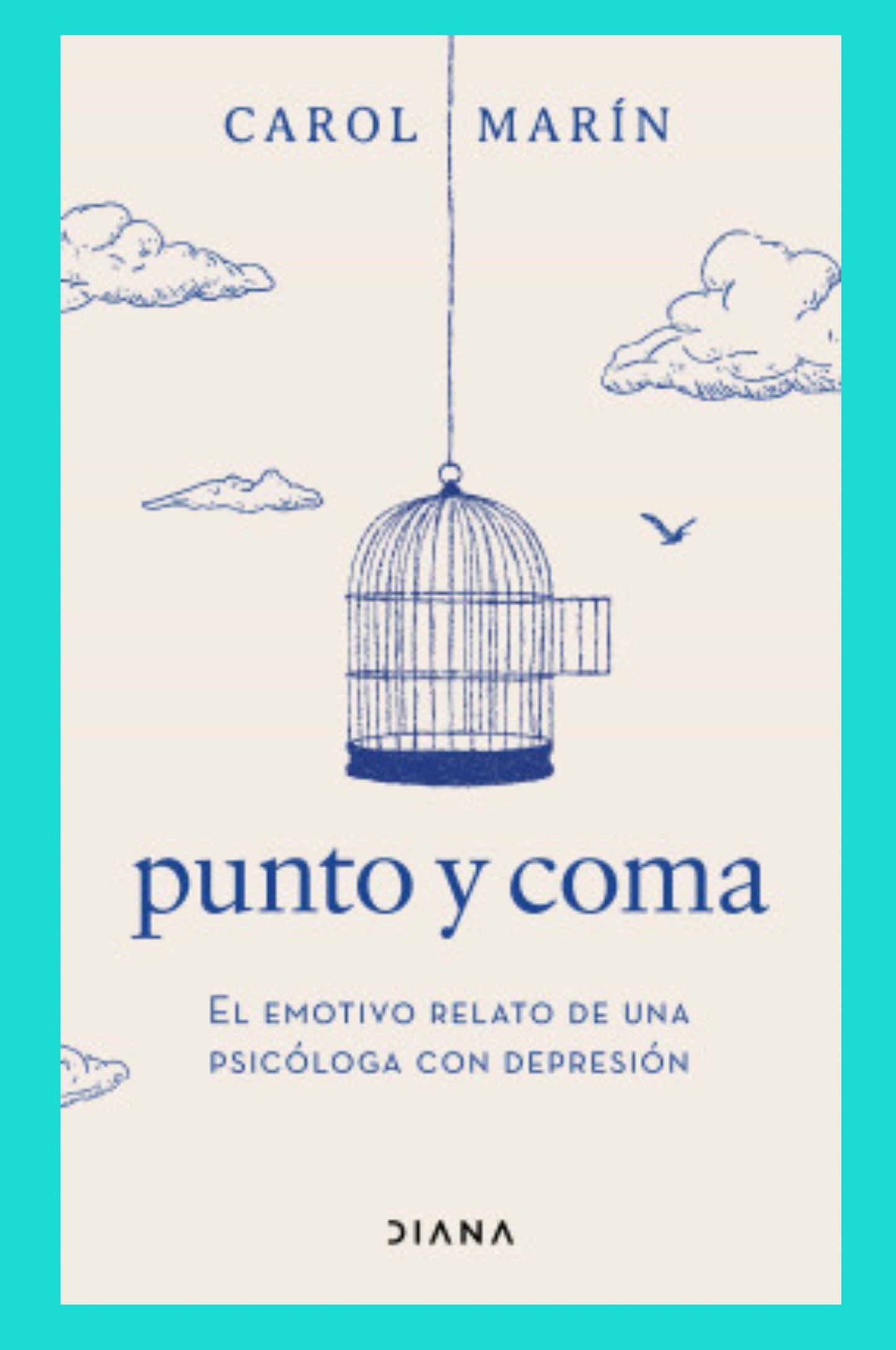 Punto y Coma