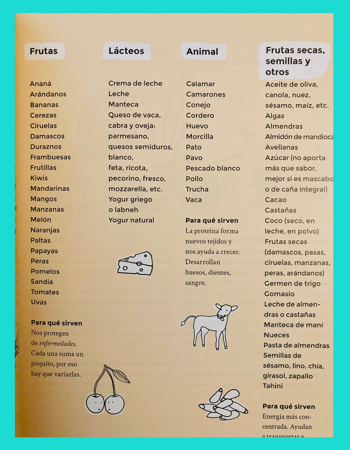 Ñam Ñam: Manual para alimentar a un pequeño omnívoro