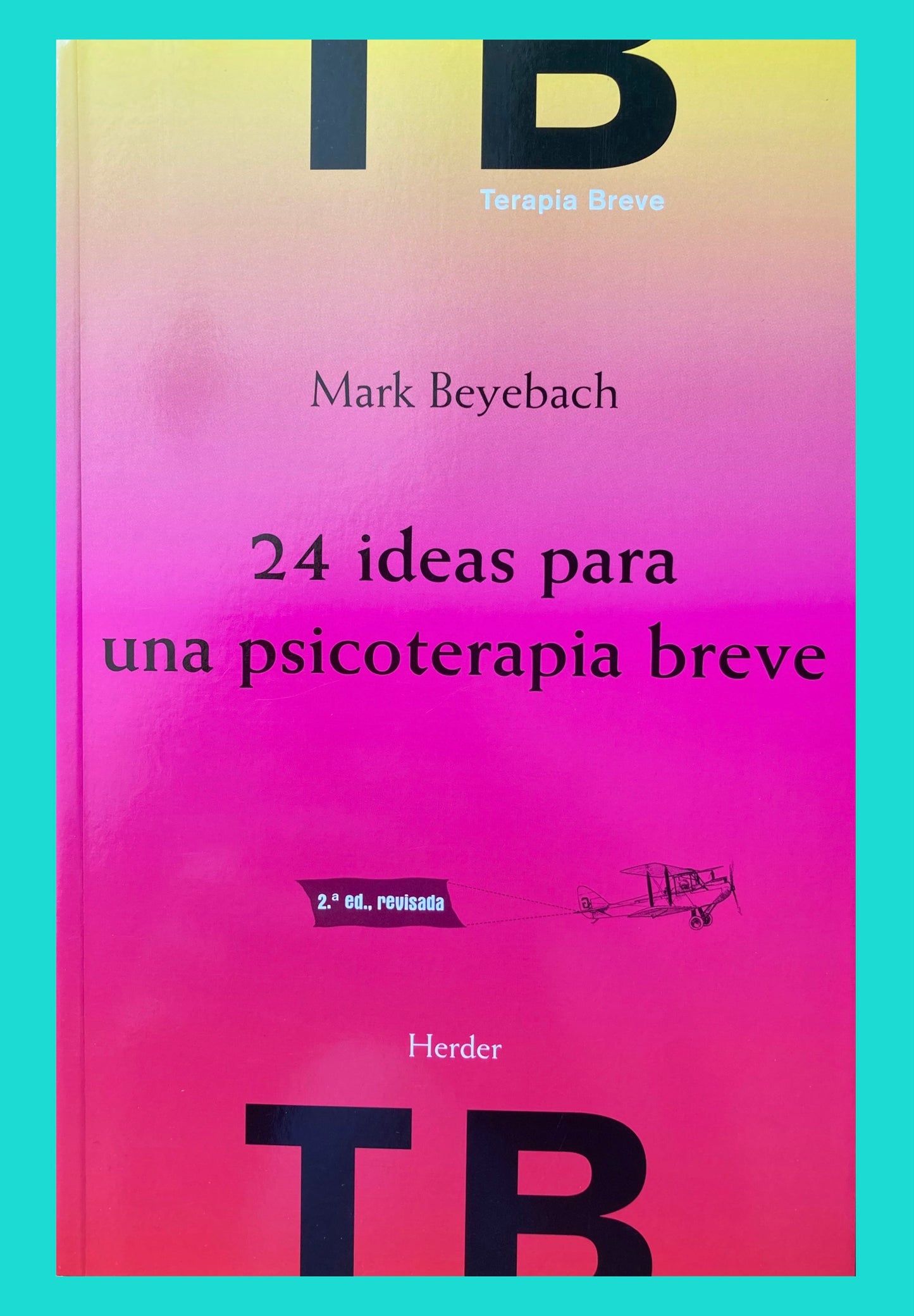 24 Ideas para una psicoterapia breve