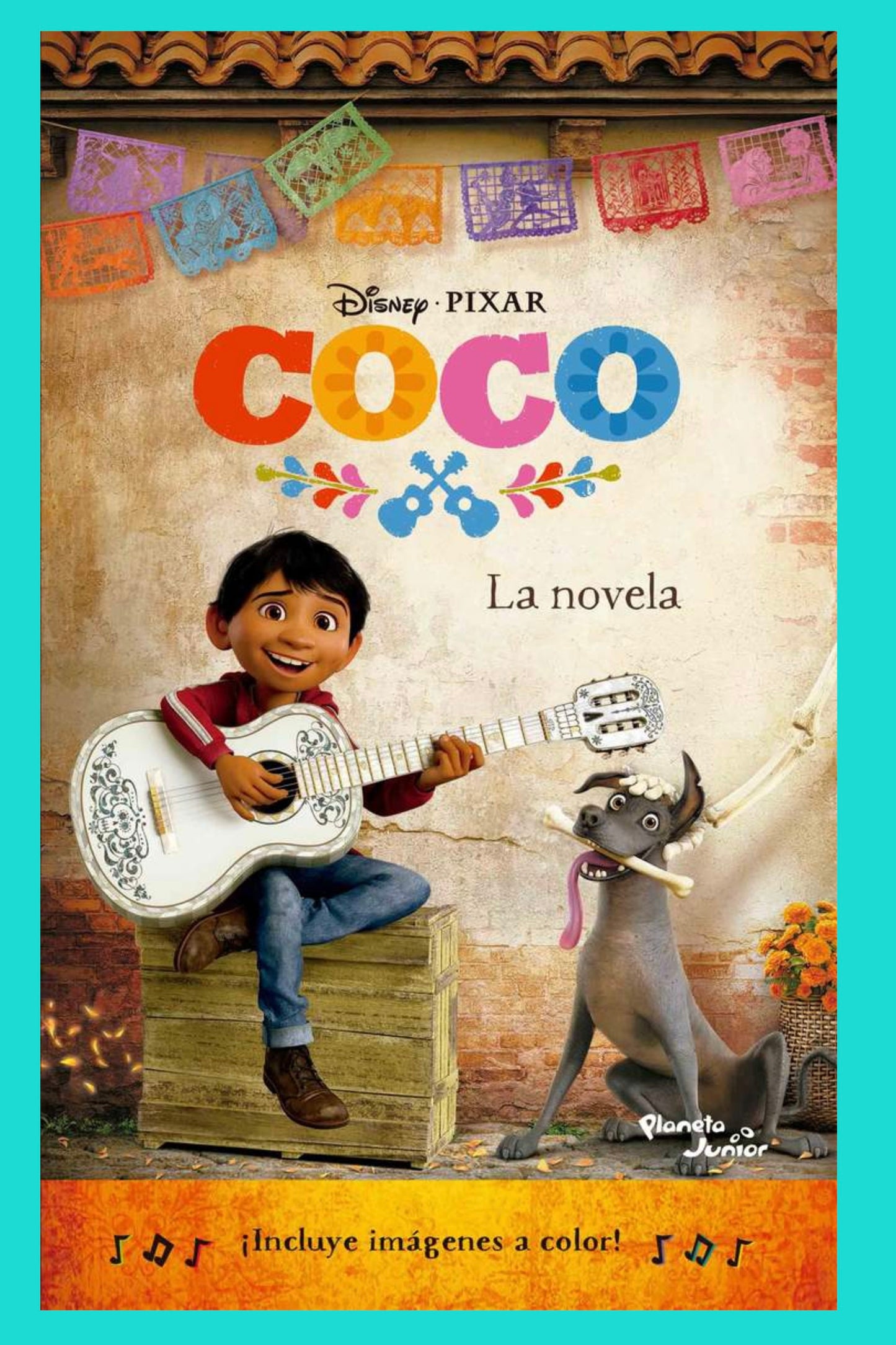 Coco: La Novela